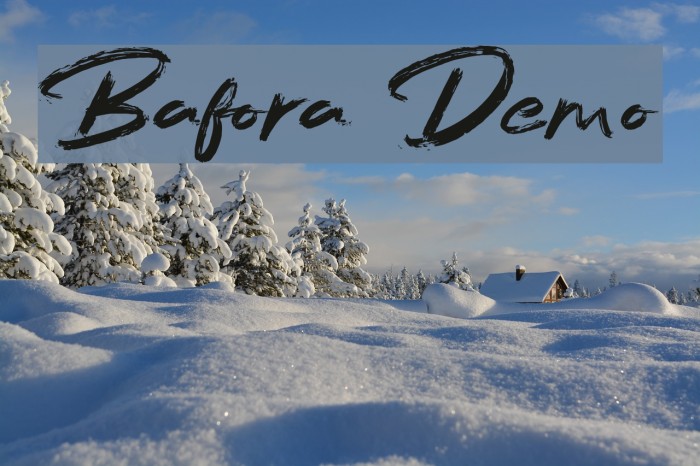 Bafora Demo Example 2