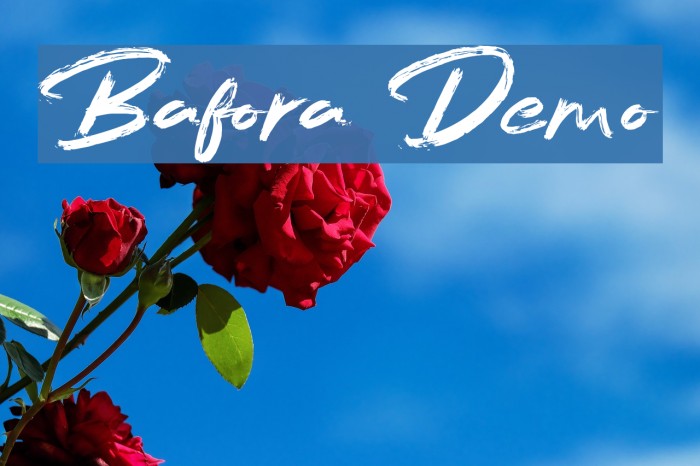 Bafora Demo Example 3