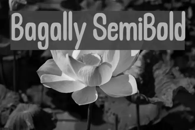 Bagally SemiBold Font examples