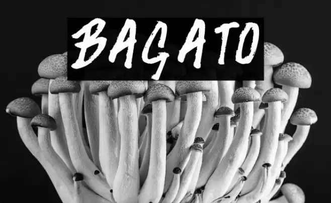 Bagato Font examples