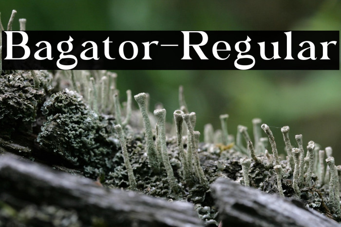 Bagator-Regular Example 1