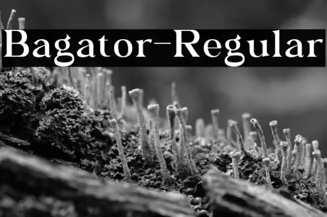 Bagator-Regular Example 1