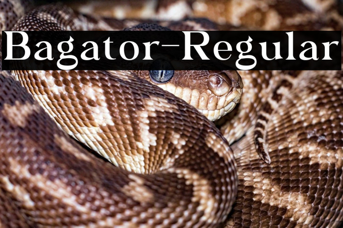 Bagator-Regular Example 2