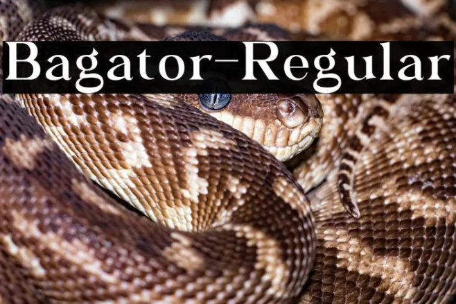 Bagator-Regular Example 2