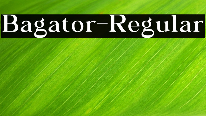 Bagator-Regular Example 3