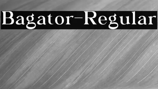 Bagator-Regular Example 3
