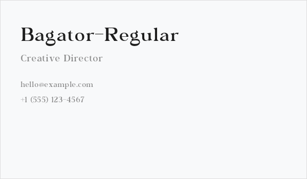 Bagator-Regular Business Card