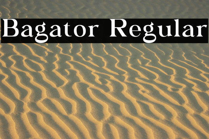 Bagator Regular Example 1