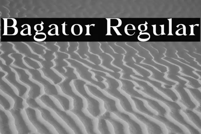 Bagator Regular Font examples