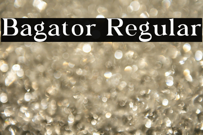 Bagator Regular Example 2