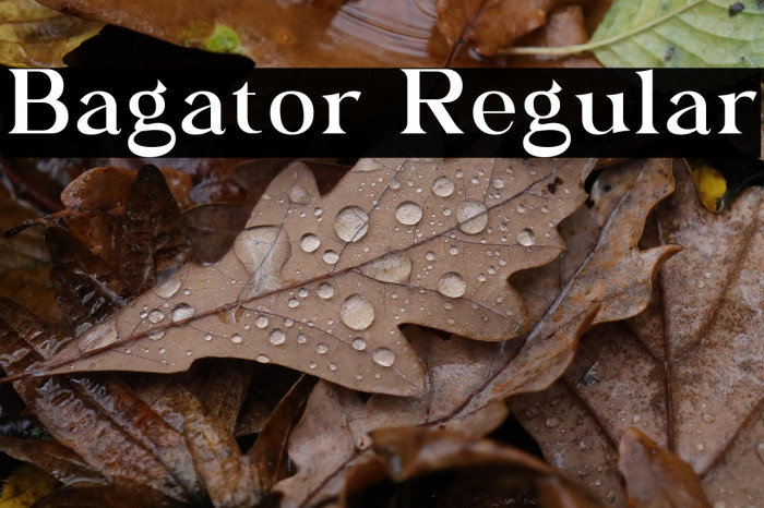 Bagator Regular Example 3