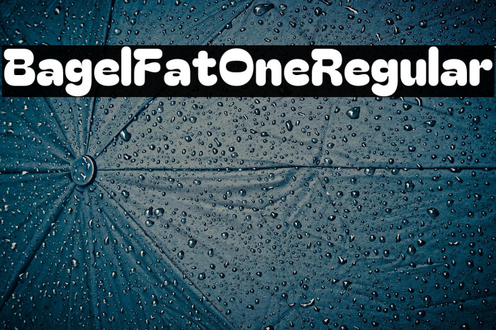 Bagel Fat One Regular Example 1