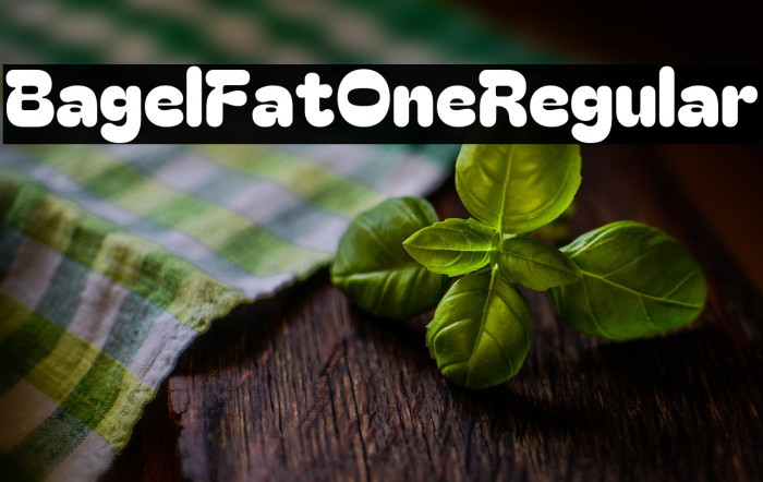 Bagel Fat One Regular Example 3