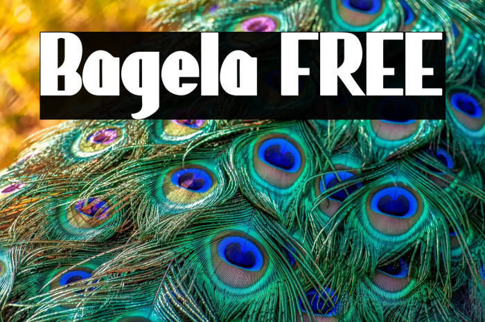 Bagela FREE Example 2