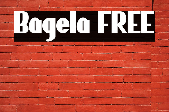 Bagela FREE Example 3