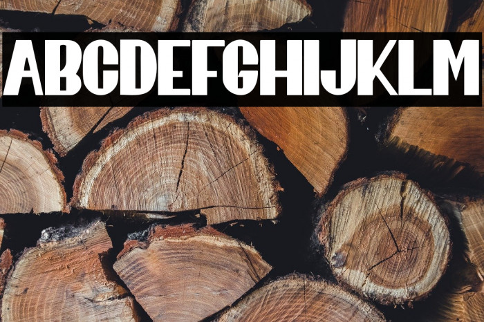 BagelaFREE Example 2