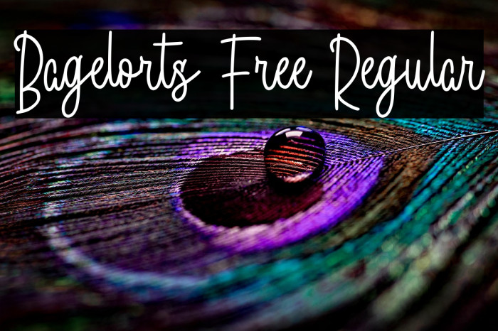 Bagelorts Free Regular Example 1