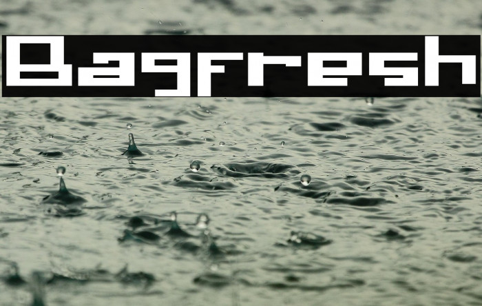 Bagfresh Example 1