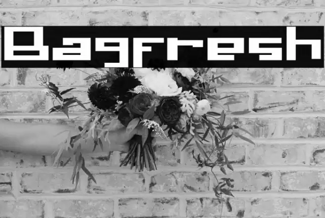 Bagfresh Font examples