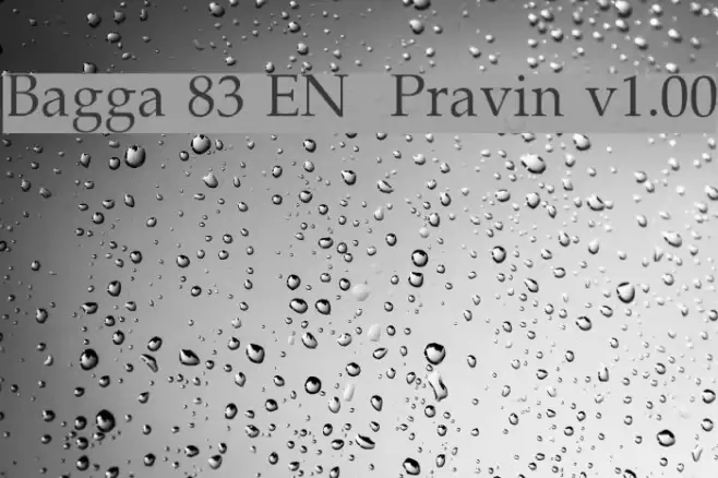 Bagga 83 EN  Pravin v1.00  examples