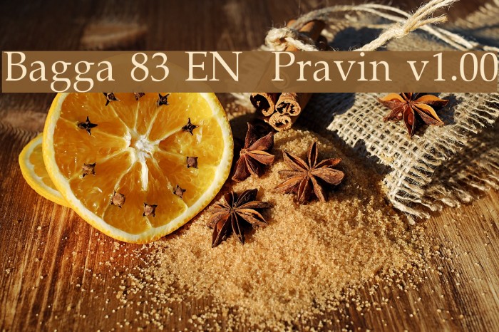 Bagga 83 EN Pravin v1.00 Font examples