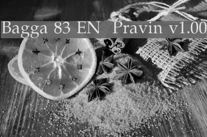 Bagga 83 EN  Pravin v1.00  examples