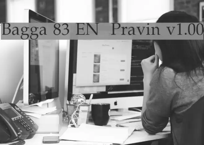Bagga 83 EN  Pravin v1.00  examples
