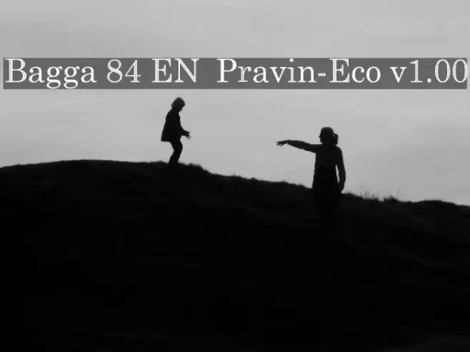 Bagga 84 EN  Pravin-Eco v1.00 Font examples
