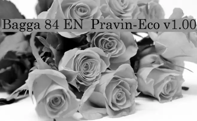 Bagga 84 EN  Pravin-Eco v1.00 Font examples