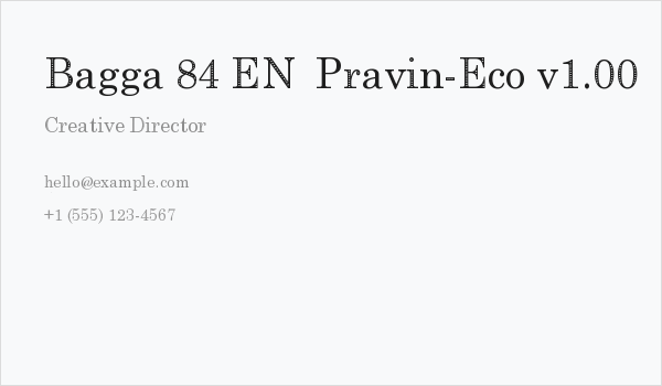 Bagga 84 EN  Pravin-Eco v1.00 Business Card