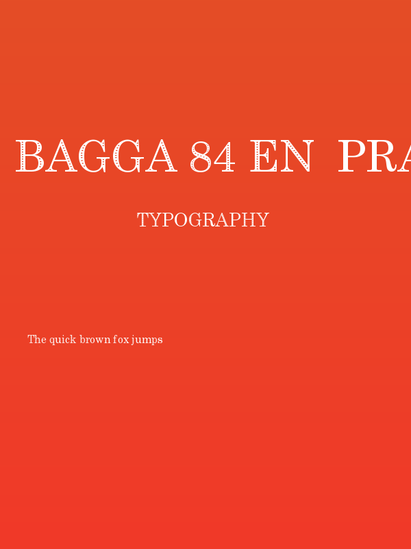Bagga 84 EN  Pravin-Eco v1.00 Poster