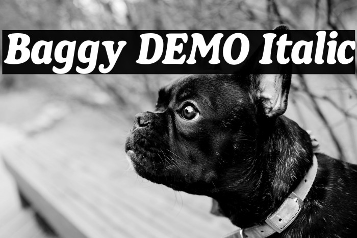 Baggy DEMO Italic Example 2