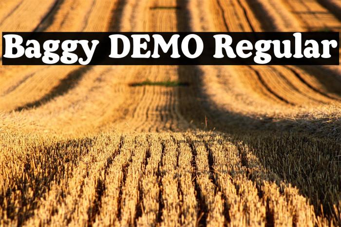 Baggy DEMO Regular Example 2