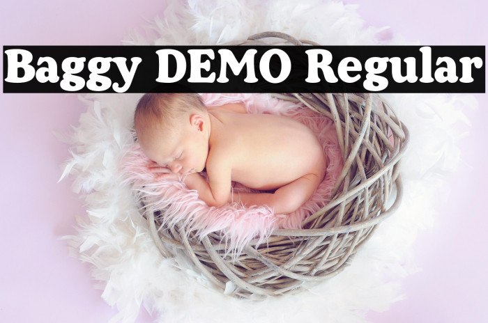 Baggy DEMO Regular Example 3