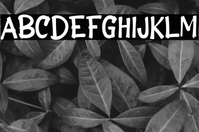 Bagian Caratteri examples