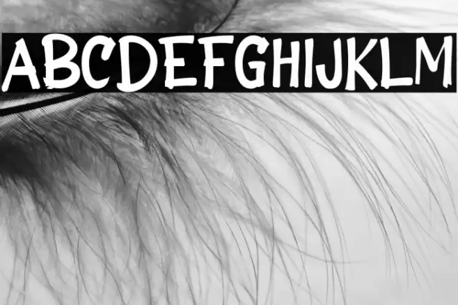 Bagian Caratteri examples