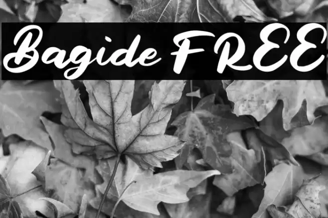 Bagide FREE Font examples
