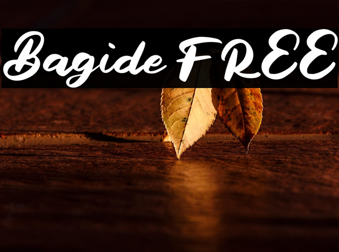 Bagide FREE Example 3