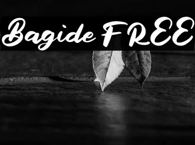 Bagide FREE Font examples