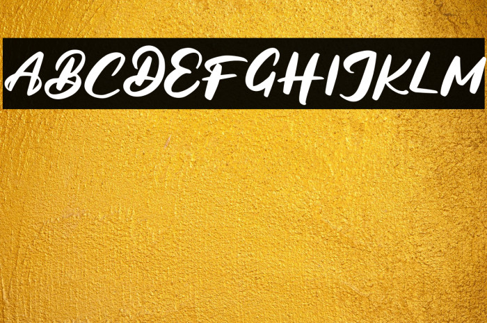 BagideFREE Example 1