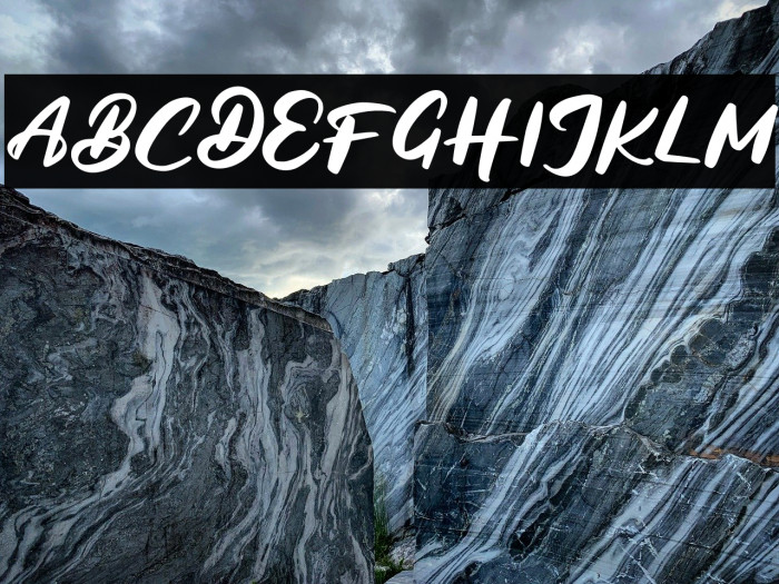 BagideFREE Example 3