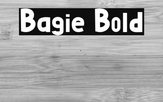 Bagie Bold Font examples