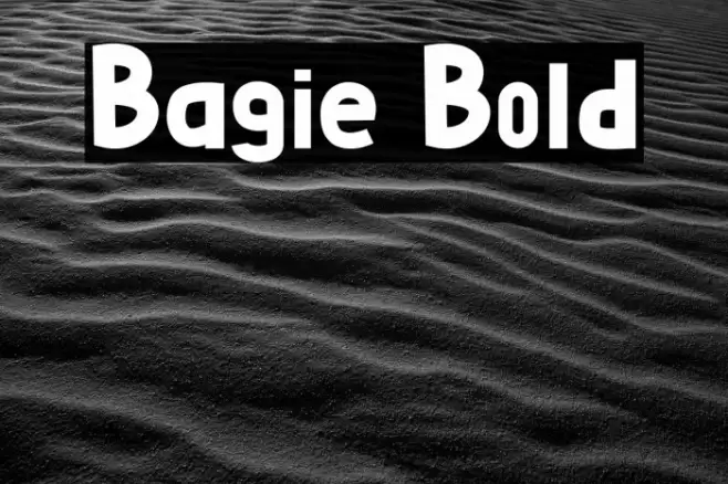 Bagie Bold Font examples