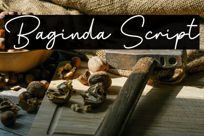 Baginda Script Example 1