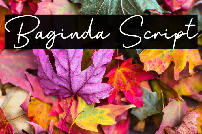 Baginda Script Example 2