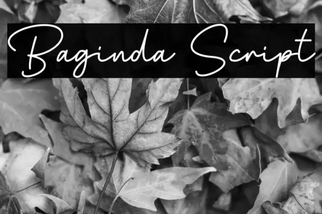 Baginda Script Example 2