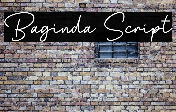 Baginda Script Example 3