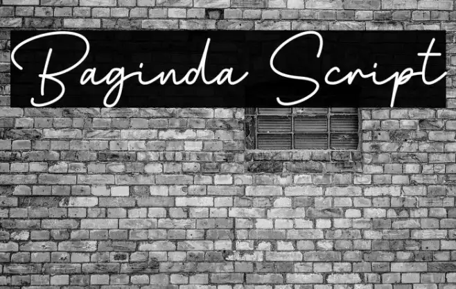 Baginda Script Example 3