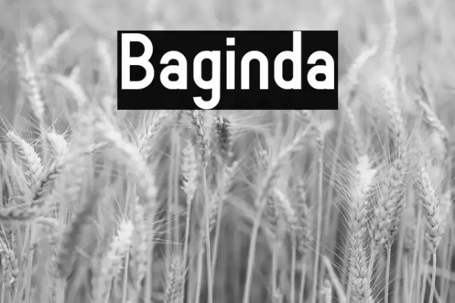 Baginda Font examples