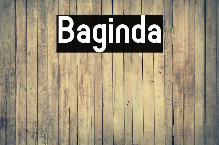 Baginda Example 2